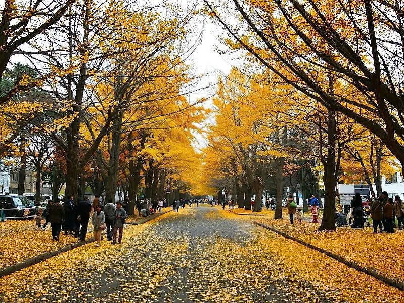 Wagayado -Hale- Otel Sapporo
